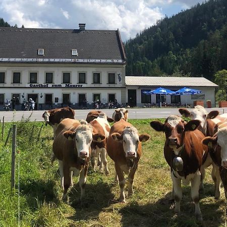Gasthof Zum Maurer Hotel Mariazell Ngoại thất bức ảnh
